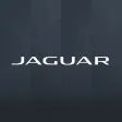 Jaguar Remote