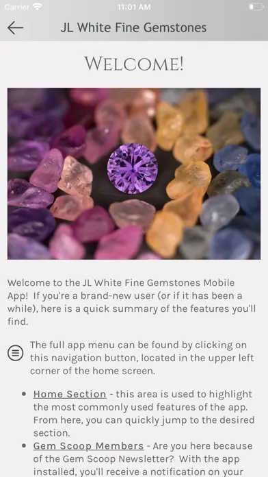 Captures d'écran de JL White Fine Gemstones