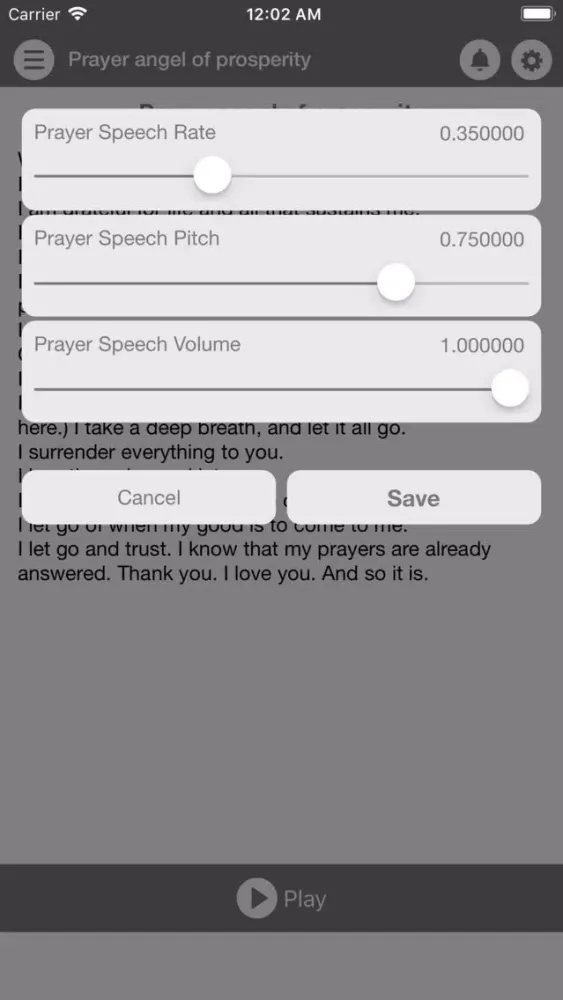 Tangkapan skrin Prayer Angel Of Prosperity