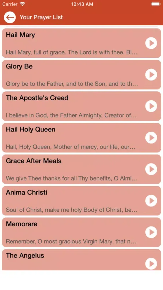 Ảnh chụp màn hình của Prayers Hail Holy Queen
