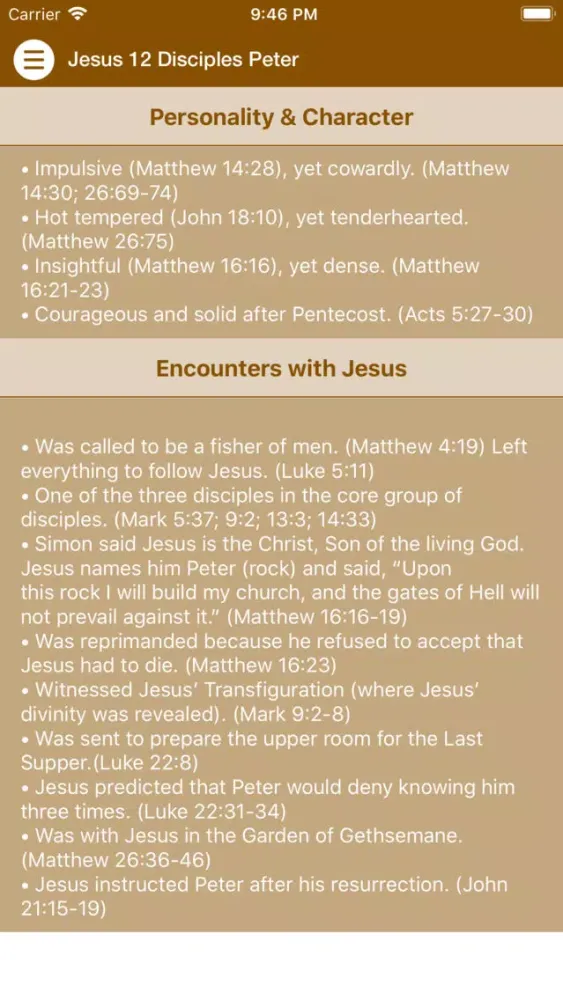 Ảnh chụp màn hình của Jesus 12 Disciples Peter