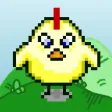 Chick n Run Chick n Run