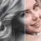 Colorize Pictures