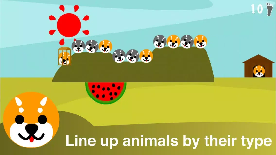 AnimalQ Screenshots