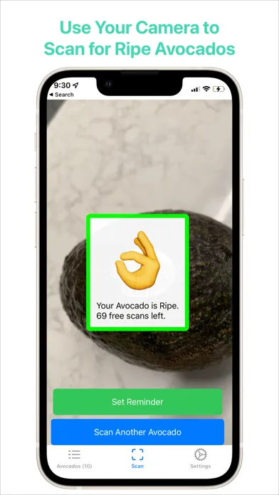 Tangkapan layar Ripe Avocado