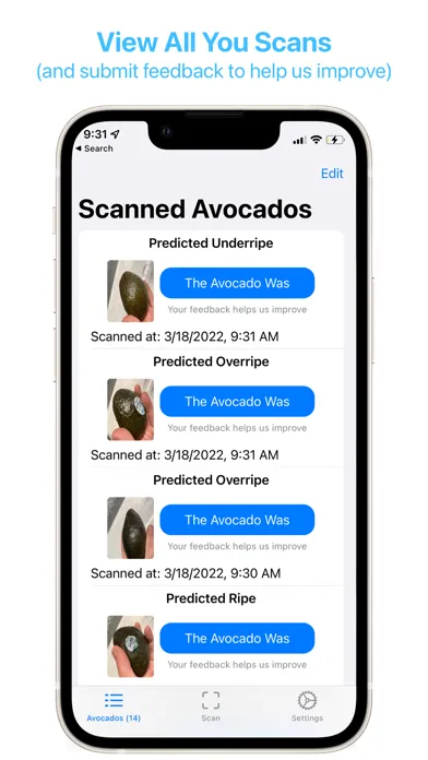 Tangkapan layar Ripe Avocado