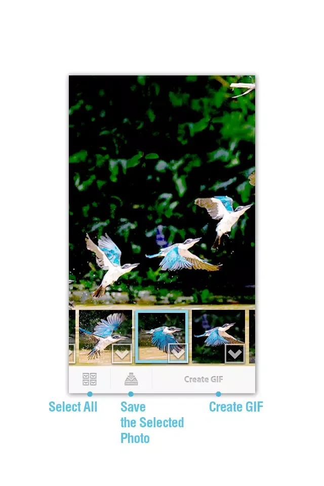 Silent Camera - BURST CAMERA Screenshots