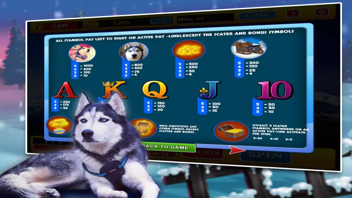 Captures d'écran de Husky Slots