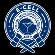 E-Cell AMP E-Cell AMP