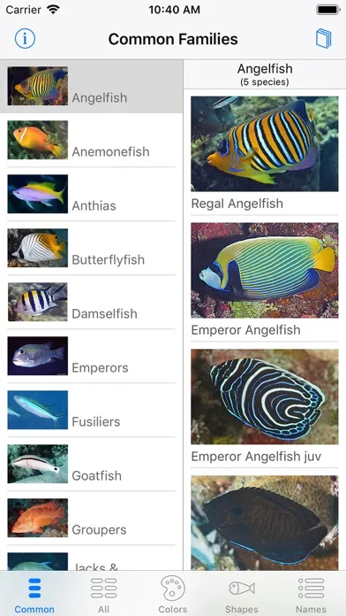 Deep Blue Divers Fish Guide স্ক্রিনশট