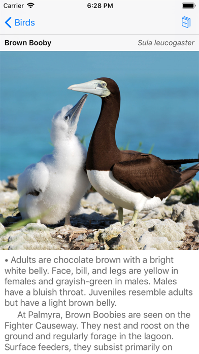 Palmyra Atoll Nature Guide سکرین شاٹس