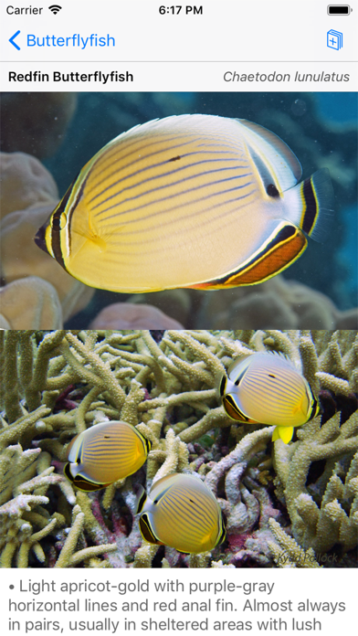 Palmyra Atoll Nature Guide سکرین شاٹس