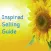 Selling Guru