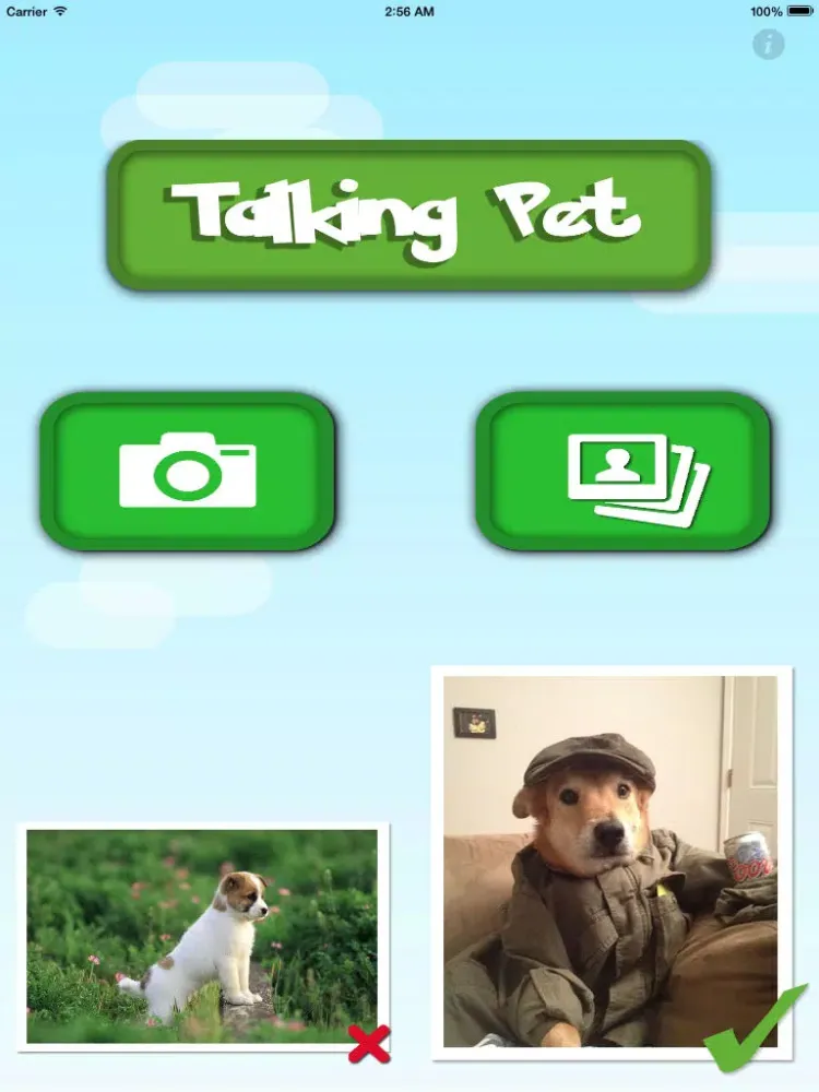 Capturas de pantalla de My Talking Pets- take photos, upload and share your videos to social networks iPad 