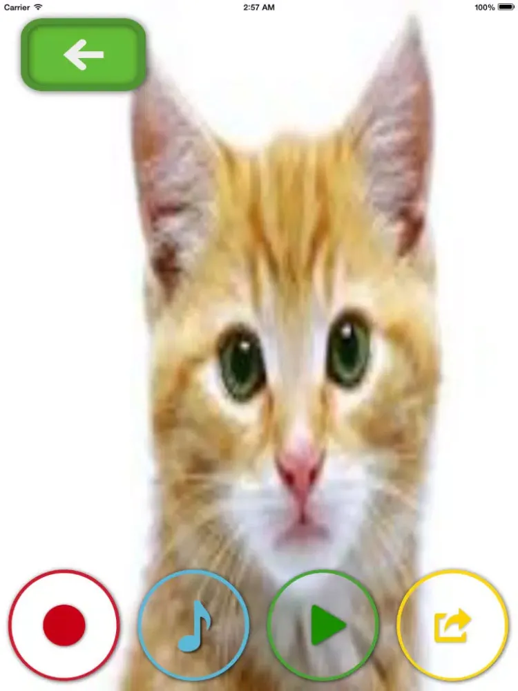 Capturas de pantalla de My Talking Pets- take photos, upload and share your videos to social networks iPad 