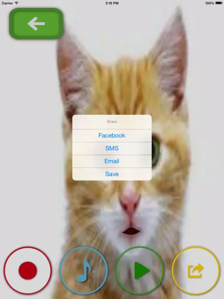 Capturas de pantalla de My Talking Pets- take photos, upload and share your videos to social networks iPad 