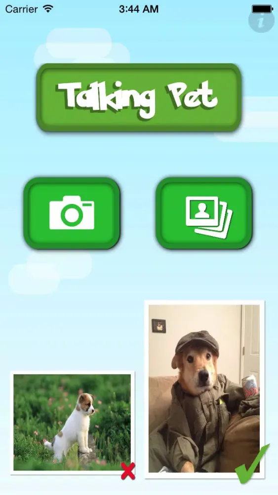 Capturas de pantalla de My Talking Pets- take photos, upload and share your videos to social networks