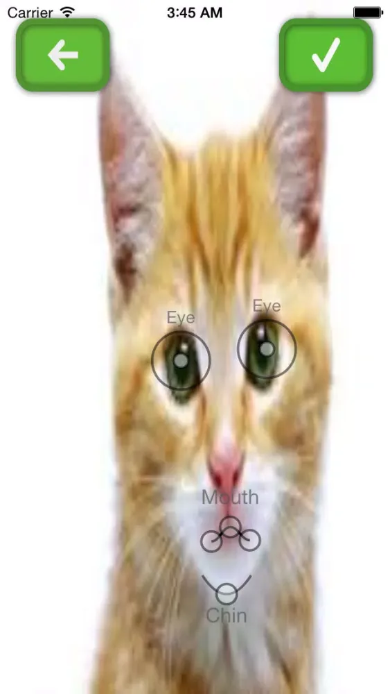 Capturas de pantalla de My Talking Pets- take photos, upload and share your videos to social networks