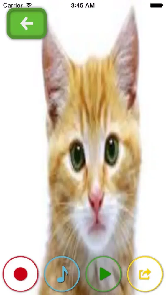 Capturas de pantalla de My Talking Pets- take photos, upload and share your videos to social networks