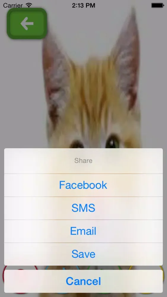 Capturas de pantalla de My Talking Pets- take photos, upload and share your videos to social networks