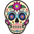 Skull Art