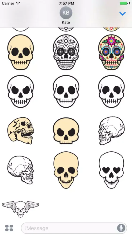 Скриншоты Skull Art