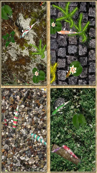 Pocket Pond 2应用截图
