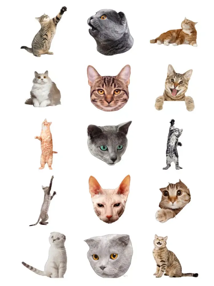 Cat Sticky iPad  स्क्रीनशॉट