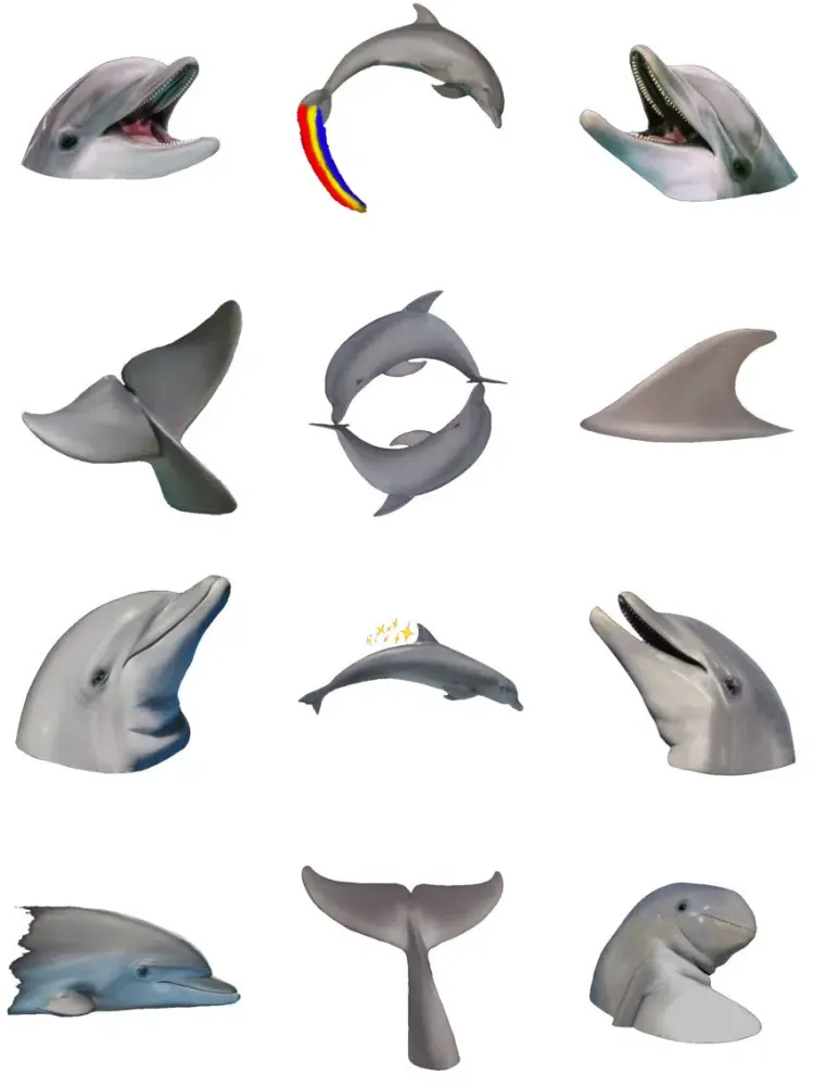 تصاویر Dolphins XL iPad 