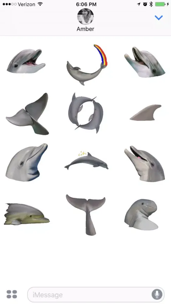 تصاویر Dolphins XL