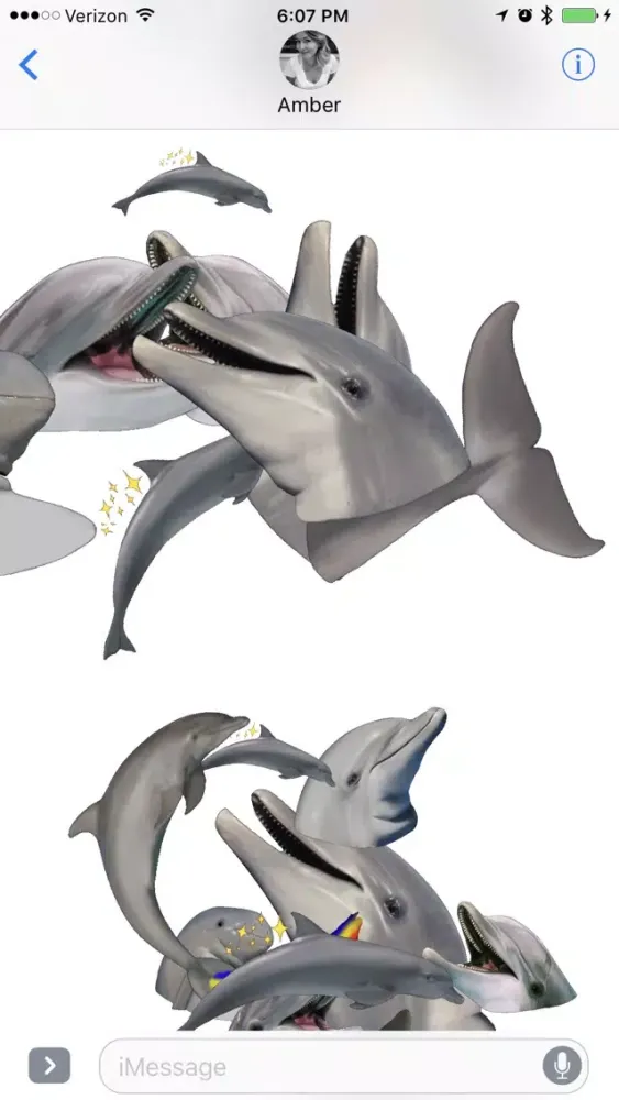 تصاویر Dolphins XL