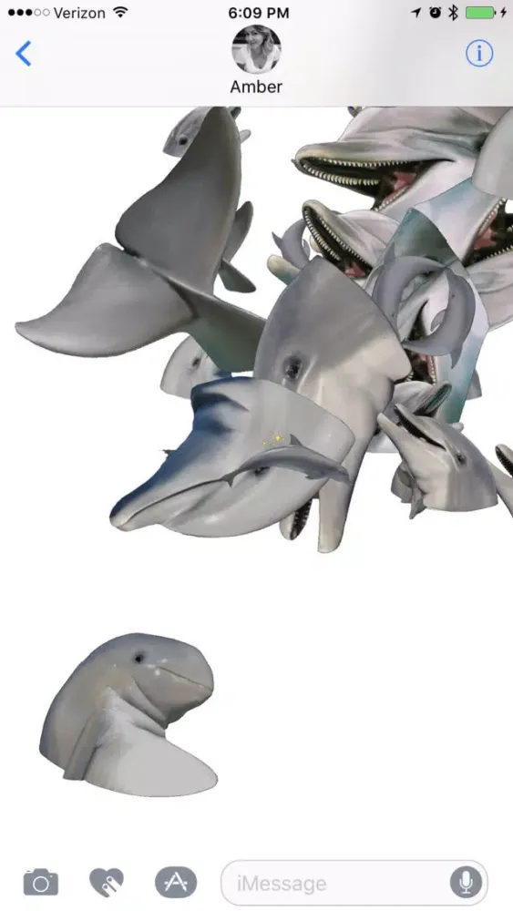 تصاویر Dolphins XL