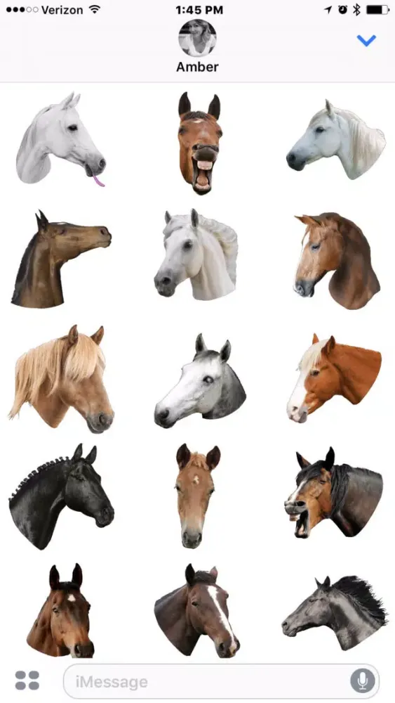 Horse Head سکرین شاٹس