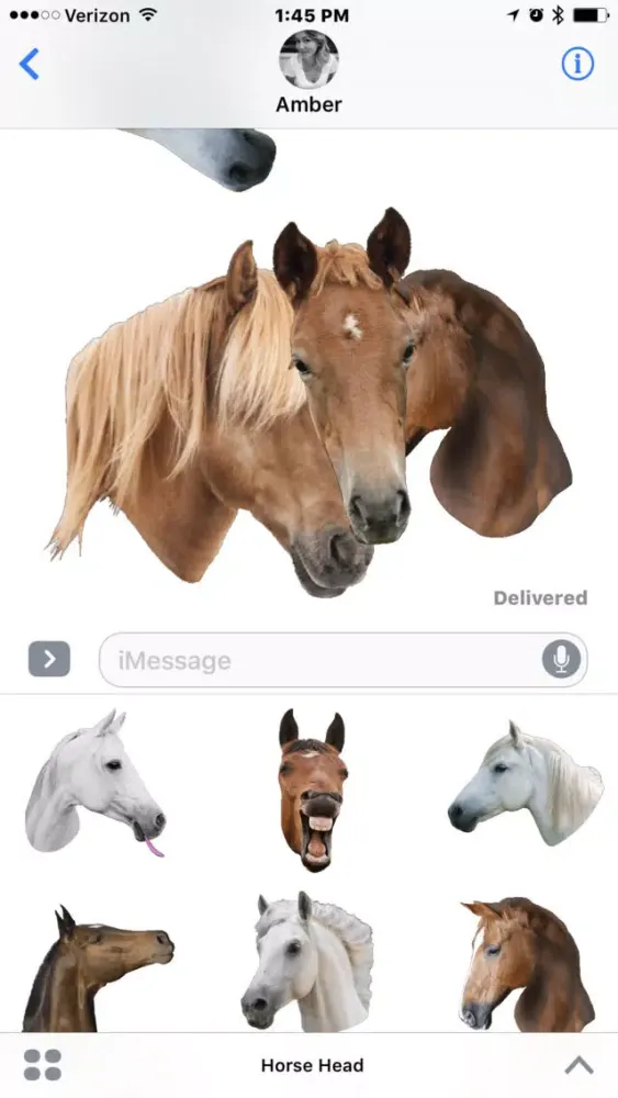 Horse Head سکرین شاٹس