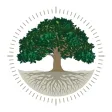 mylife ad