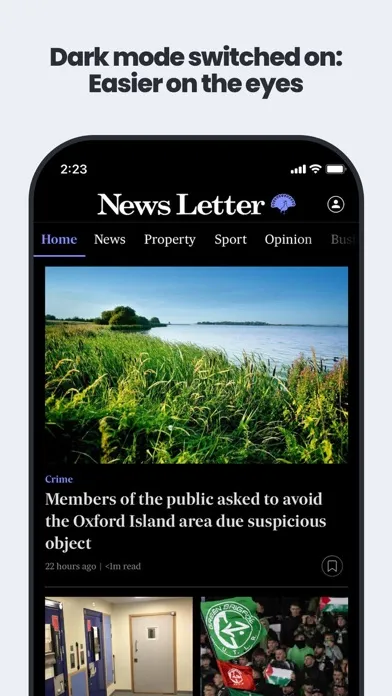 The News Letter Newspaper应用截图