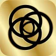 BLYNK Professional Network