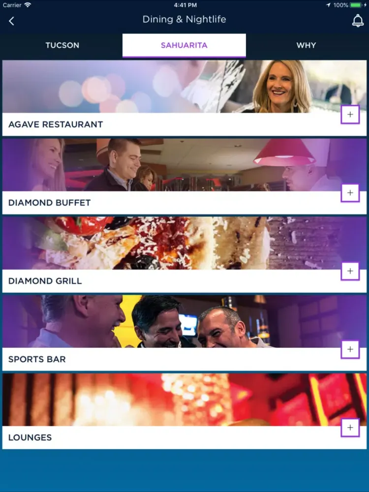 Скриншоты Desert Diamond Casinos iPad 