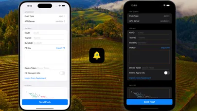 Ảnh chụp màn hình của APNs Helper