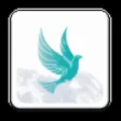 JollyHires: Easy Job Search