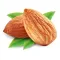 Protein-Check: Discover Top High Protein Rich Foods List for the best Power Diet