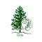 Essex Fells Country Club