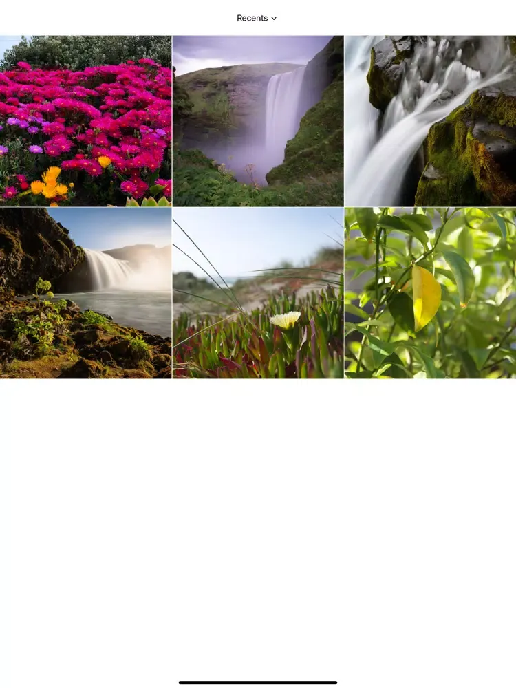Image EXIF Data Viewer iPad  스크린샷
