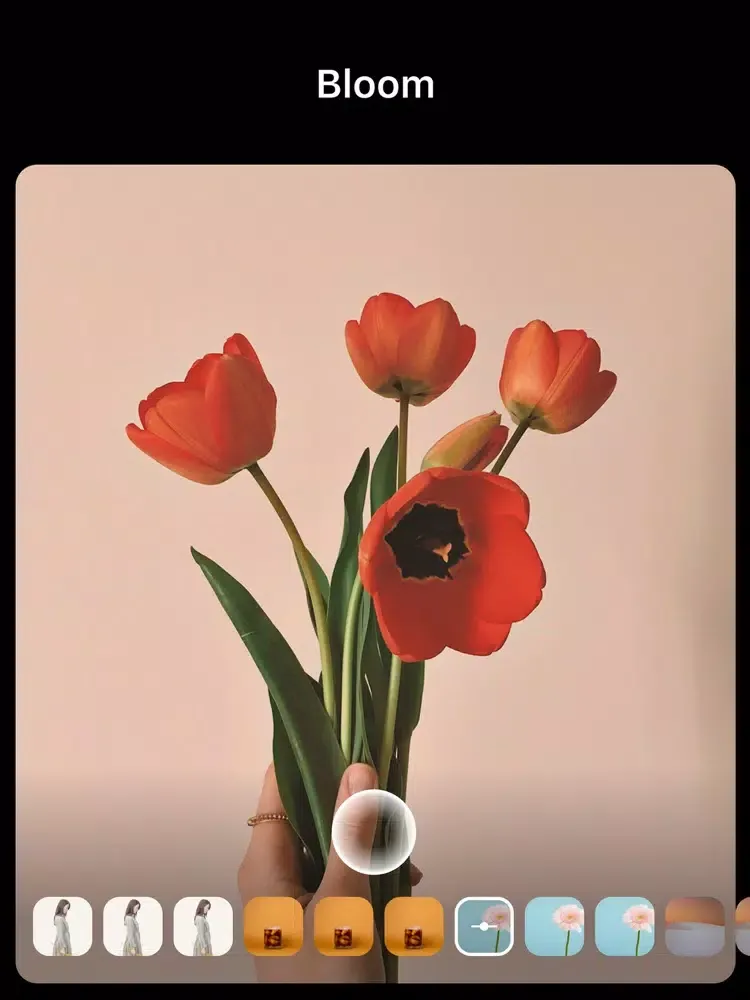 Filter Camera A iPad  স্ক্রিনশট