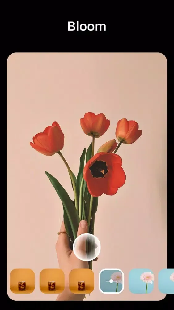 Filter Camera A স্ক্রিনশট