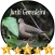 Canto Juriti Gemedeira