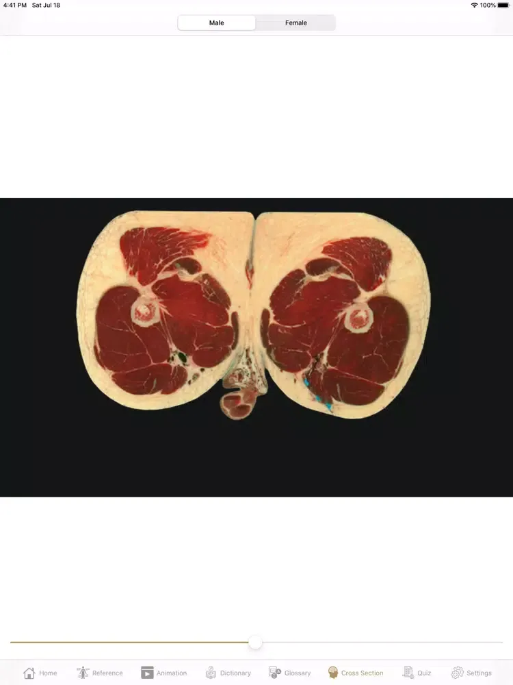 Fundamental Physiology iPad 應用截圖