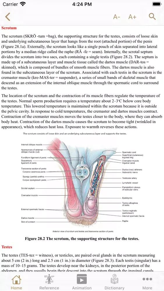 Fundamental Physiology應用截圖