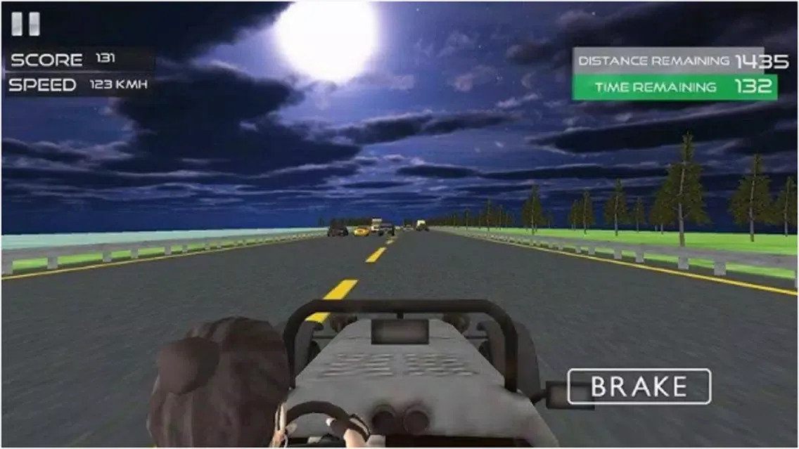 Ảnh chụp màn hình của Ultimate Racer 3D Pro