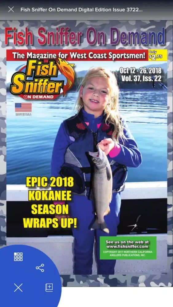 Fish Sniffer Magazine Ekran Görüntüleri